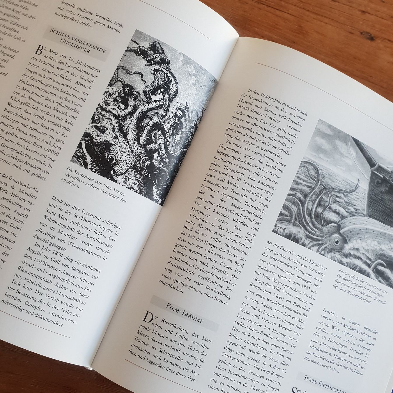 Bücher: 🐸 Von Drachen, Yetis und Vampiren – Gebraucht aus Môtier (Vully) von Frogs 8