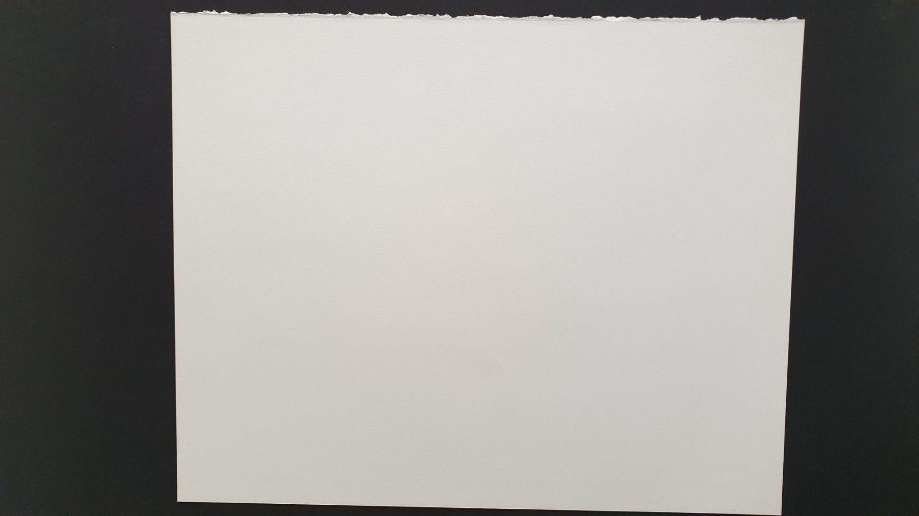 Grafica & Litografie: Rorschach. Lithografie von Schnetzer. – Usato da Goldach venduto da armando_r 4