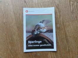 Sperlinge, Alles ausser gewöhnlich, neu!