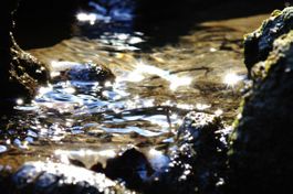 Serie über 160 Natur Fotografien