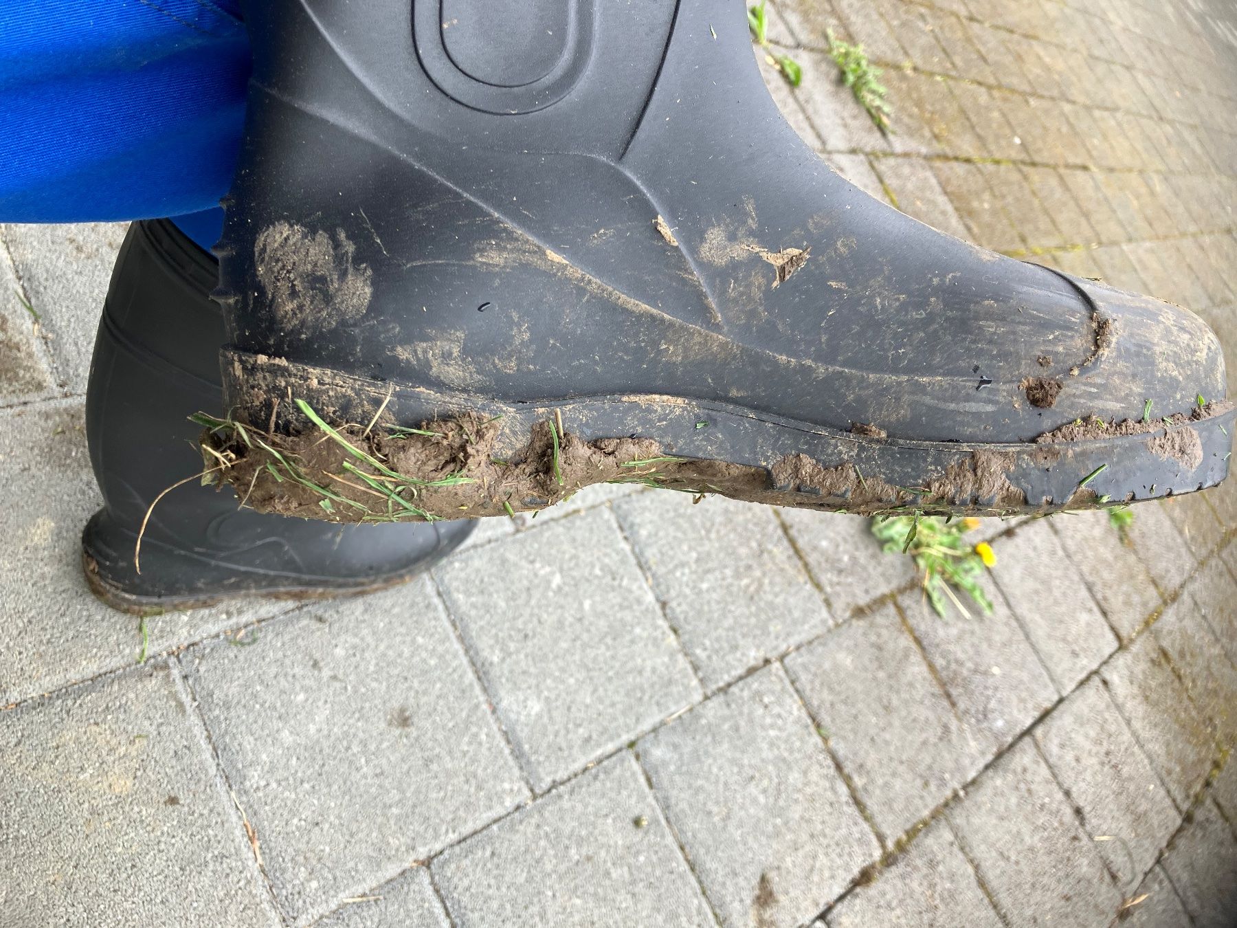 Herrenschuhe: Arbeitskleidung Stall Stiefel Gr.43 – Gebraucht aus Bettwiesen von Zustand57