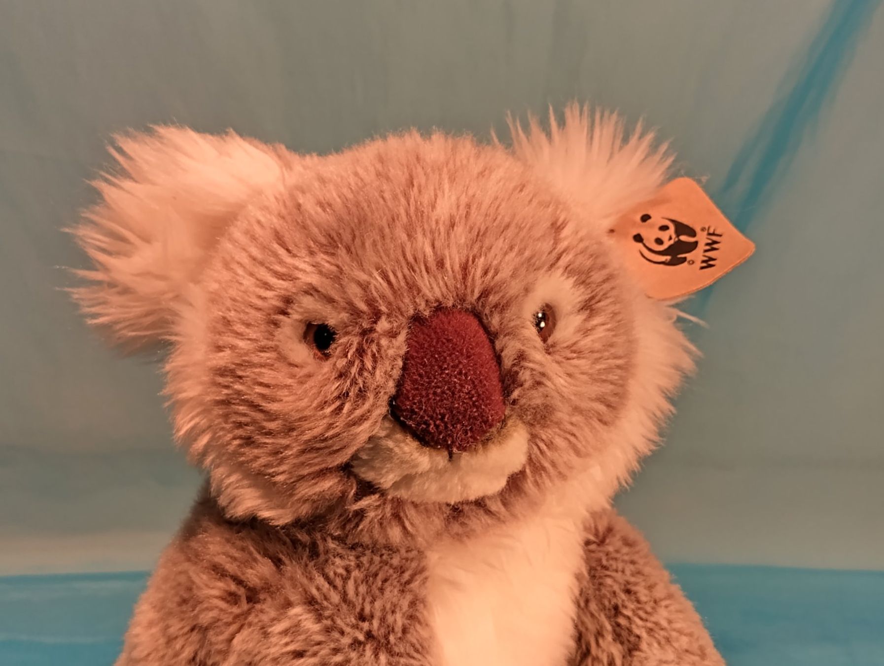 WWF Giocattoli: WWF Koala, L: 35cm – Nuovo (secondo la descrizione) da Bellach venduto da JingleCherry 4
