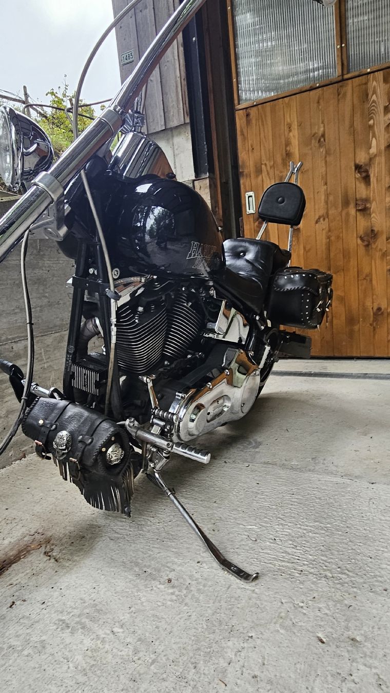 Harley-Davidson Chopper: Harley-Davidson Softail FXSTC 1340 ccm – Usato da St.Gallenkappel venduto da RocknSkull 5
