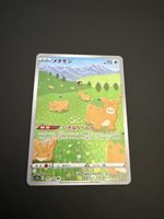 Top Zustand Pokemon Karte Ditto  197/172 aus 2022!