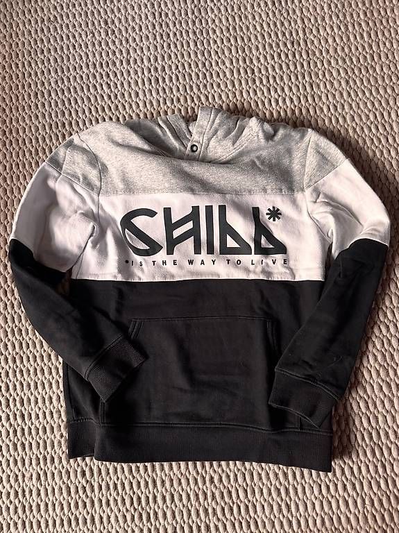 H&M Pulls & Sweat-shirts: Pullover – D'occasion à Ebmatingen par F.Bullet