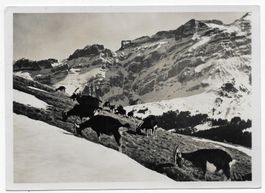 Aussicht vom Kronberg🐐