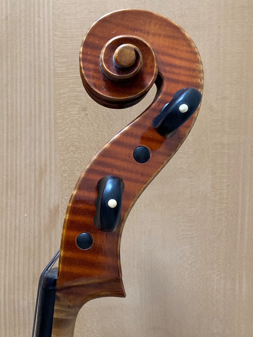 Strumenti musicali: Cello Ludwig Glaesel "Berliner", Markneukirchen 1907 – Usato da Basel venduto da ltr_dmh7 3