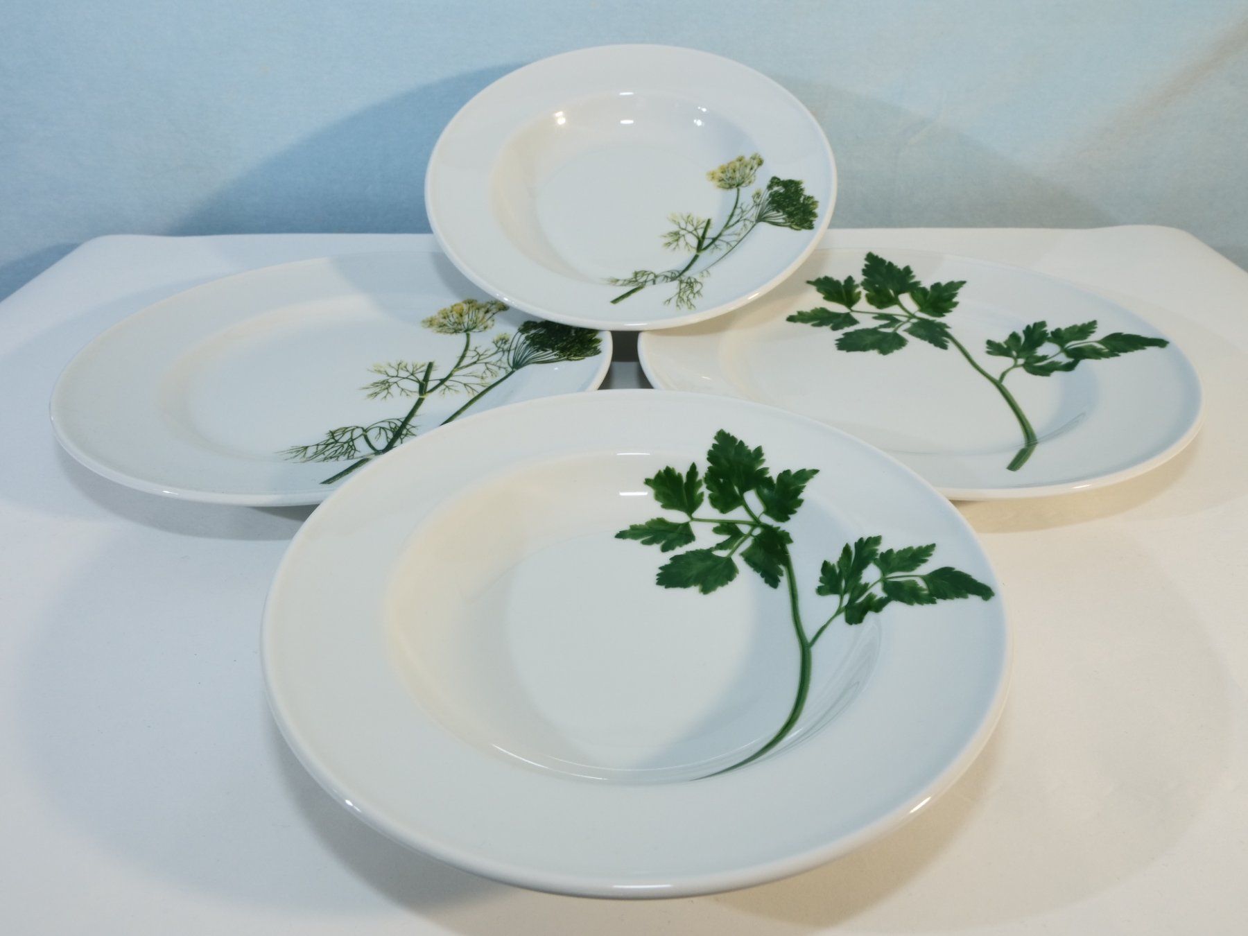 Dibbern Piatti: Dibbern Schösswald Teller Set, Kräuter Design, Top – Usato da Lustmühle venduto da Glatisant 5