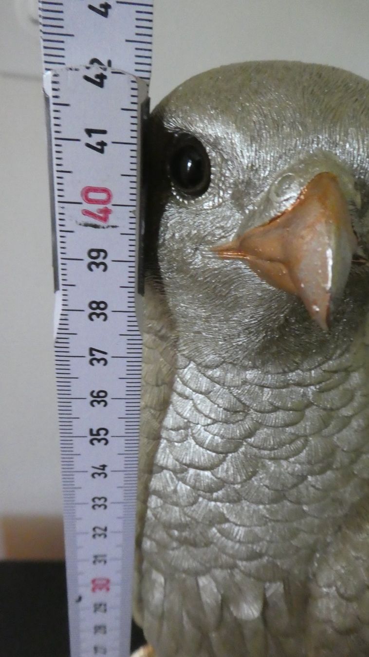 Figuren: Deko Greifvogel. Vogel von Möbelpfister – Gebraucht aus Diessenhofen von Hundeseele 7