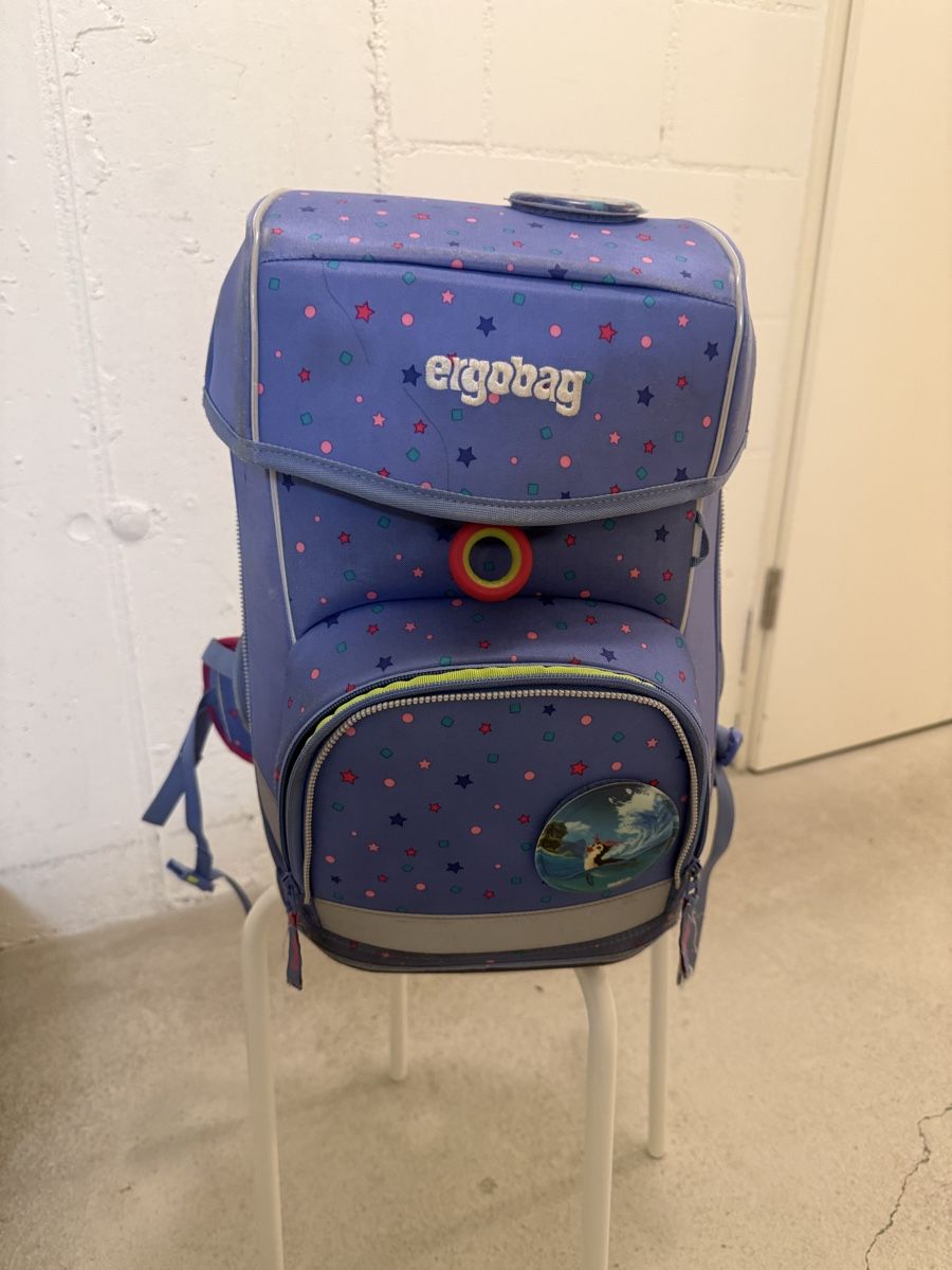 Borse & Zaini: Ergobag Schulthek inkl. zwei Etuis – Usato da Aarau venduto da son_rd99