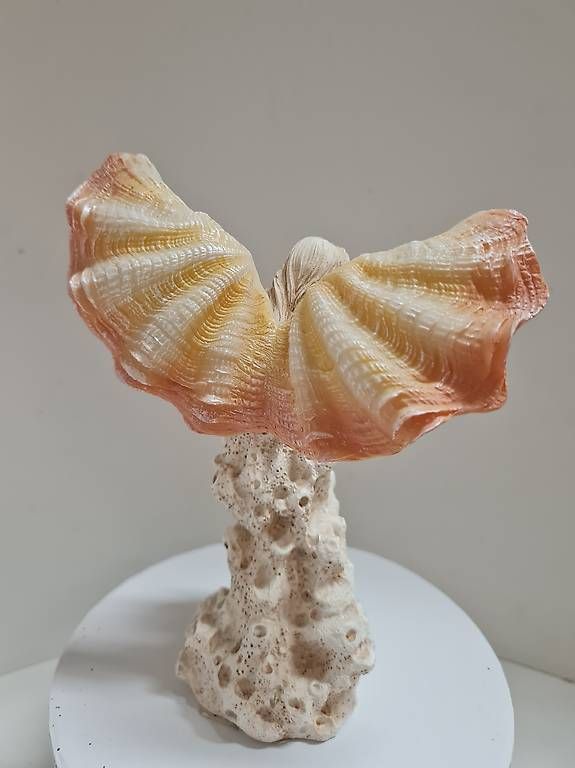 Figurines: Engel  – D'occasion à Kriens par LotusOase 2