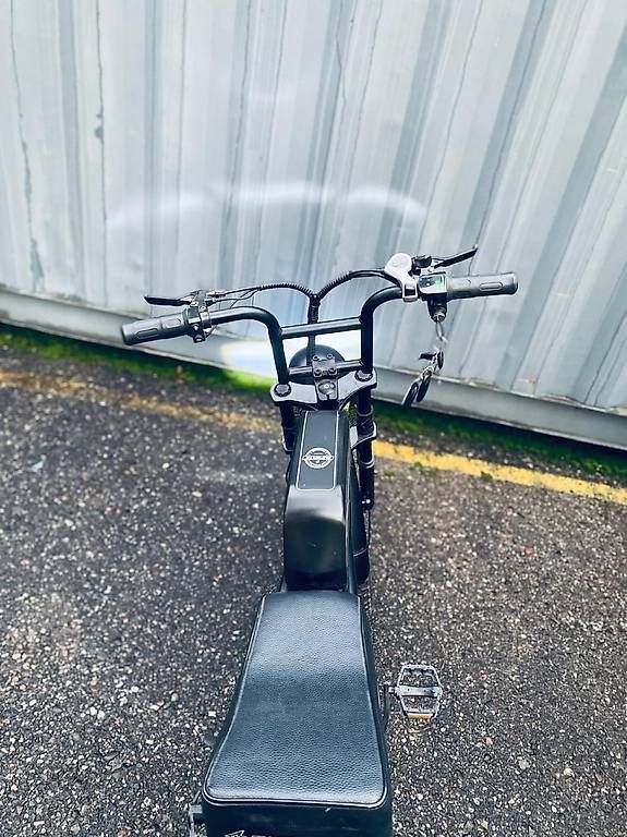 Biciclette: Super 73 e-bike mountainbike   – Usato da Reinach BL venduto da pan_pjc6 5