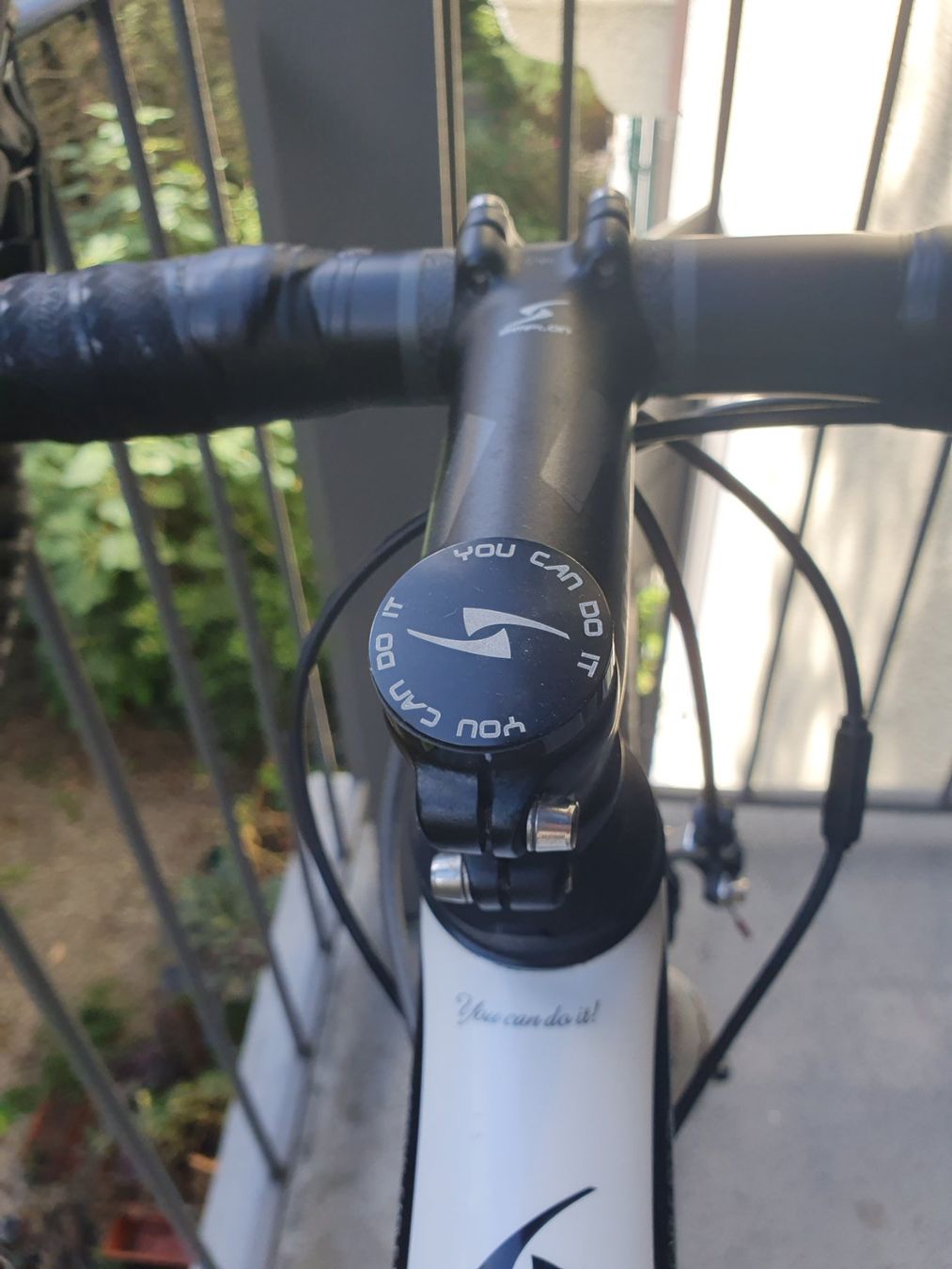 Simplon Biciclette: Carbon Rennrad SIMPLON PAVO 3 – Usato da Bern venduto da vonstauffenberg1 5