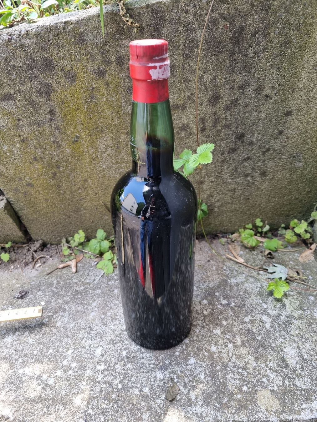 Vino: Extra rare wein Andalusia – Usato da Ostermundigen venduto da vintage60 4