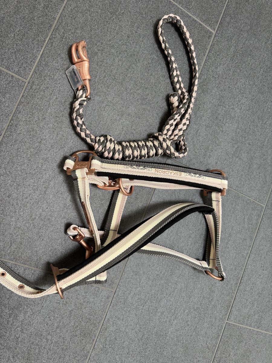 Eskadron Brides, licols: Eskadron Halfter mit Strick Set Grösse neu – Neuf avec emballage d'origine à Winterthur par Sjull