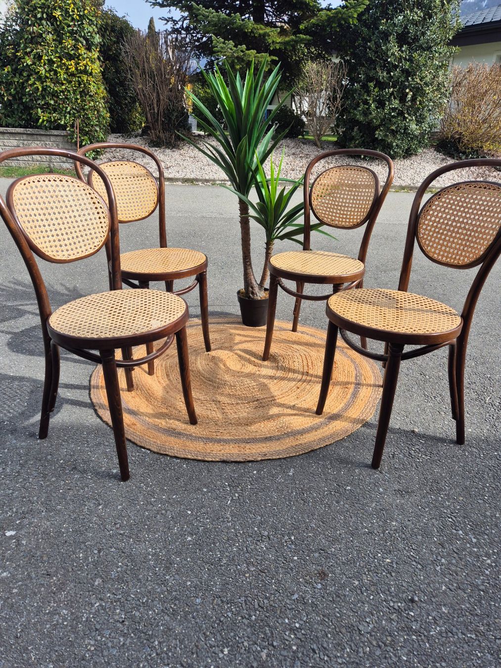 Sedie: Chaises bistrot canage  RADOMSKO ZPM – Usato da Fully venduto da tameab 3