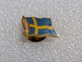 Ansteckpin 253: Flagge