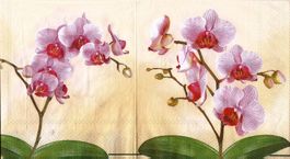 2 Servietten   Orchideen