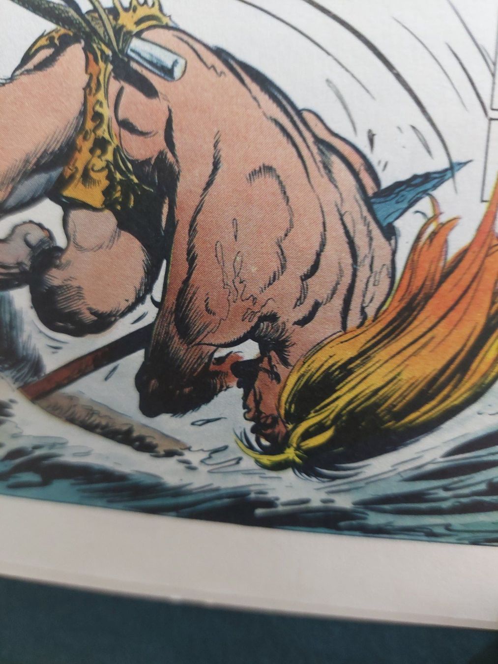 Fumetti: Rahan L'intégrale De... T.12 EO 1985 BE+ – Usato da Genève venduto da Blu_BD 2