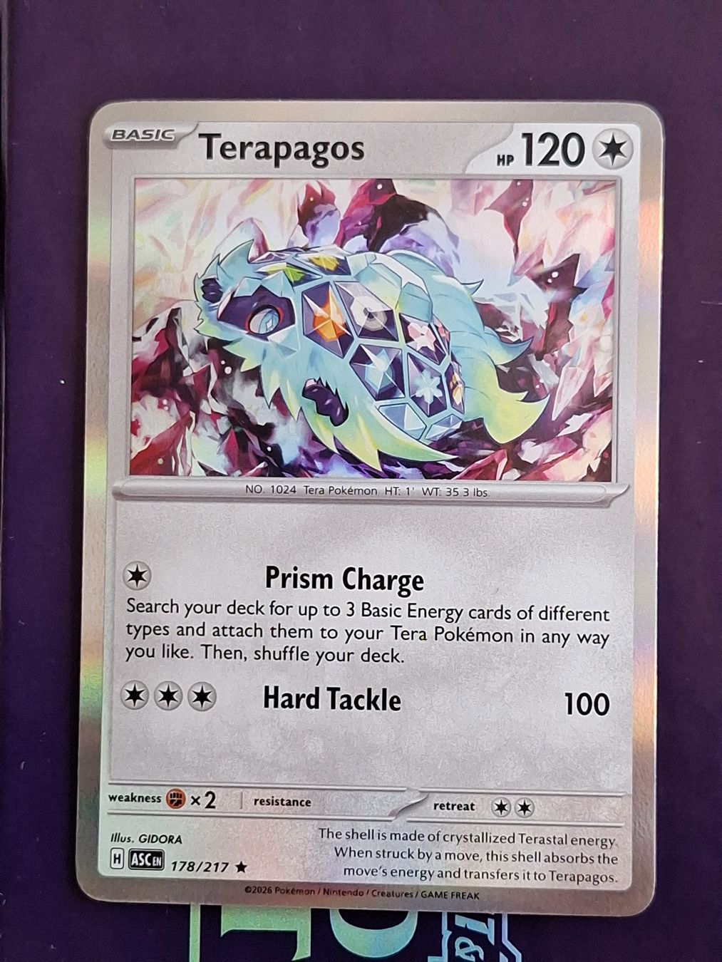 Pokémon Carte collezionabili: Terapagos Holo - Pokemon Ascended Heroes – Usato da Altstätten SG venduto da GGsGameshop