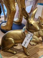 Aloha Hase Gold