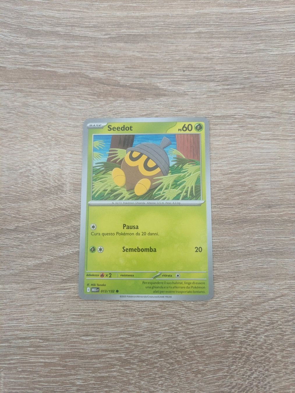 Pokémon Carte collezionabili: SEEDOT, MEGA EVOLUTIONS, MEG 13, COM, 2025, ITA, NM/MT – Usato da Losone venduto da AlpineLayer