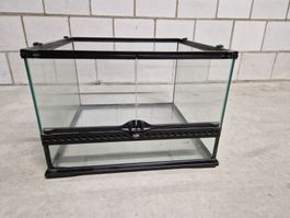 Terrarium zu Verkaufen