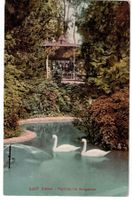 Baden, Pavillon im Kurgarten, Schwäne, um 1920