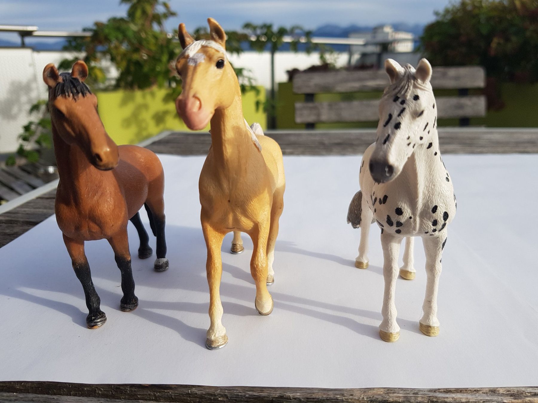 Schleich Giocattoli: 3 Modellpferde Marke Schleich, 1 Katze, 1 Luchs – Usato da Jona venduto da dampfnuggi