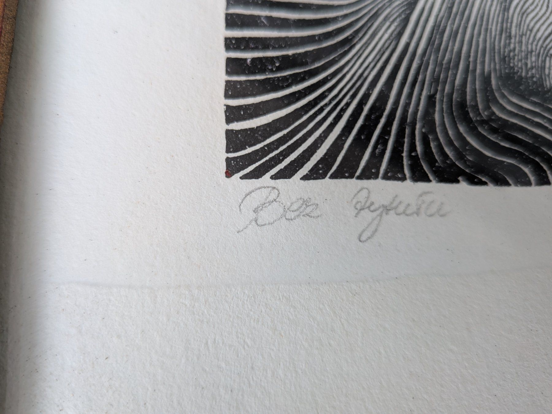 Grafica & Litografie: Lithographie signiert und nummeriert – Usato da Emmen venduto da magelan 4