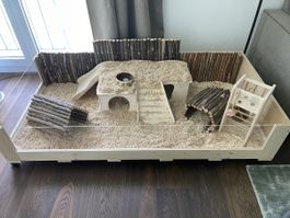 Grosses Meerschweinchen Innengehege