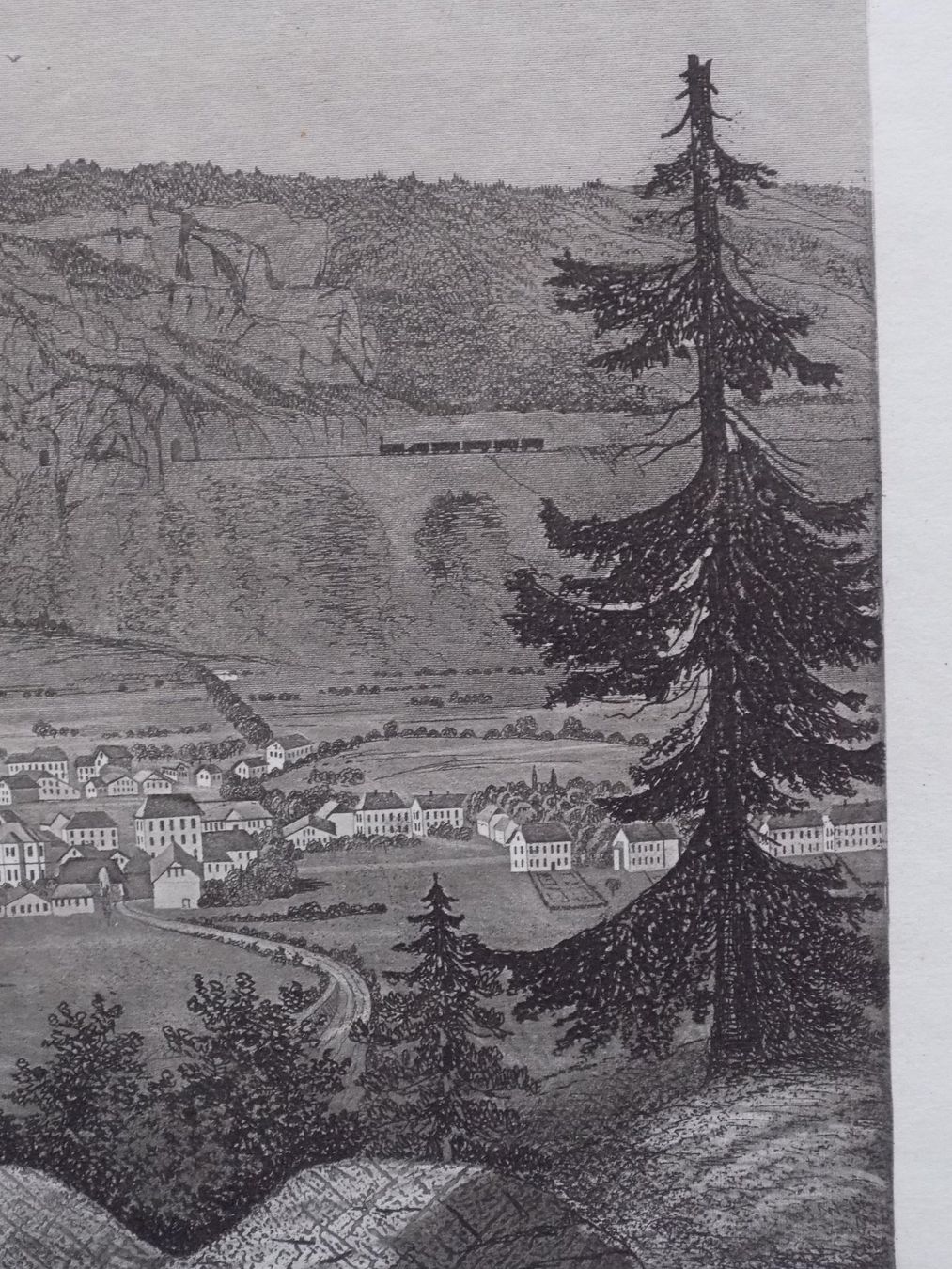 Stiche: Fleurier – Gebraucht aus Risch von Rischli15 6