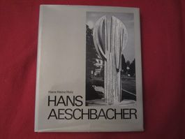 HANS AESCHBACHER:KÜNSTLER UND BILDHAUER(ZÜRICH VERLAG 1976)