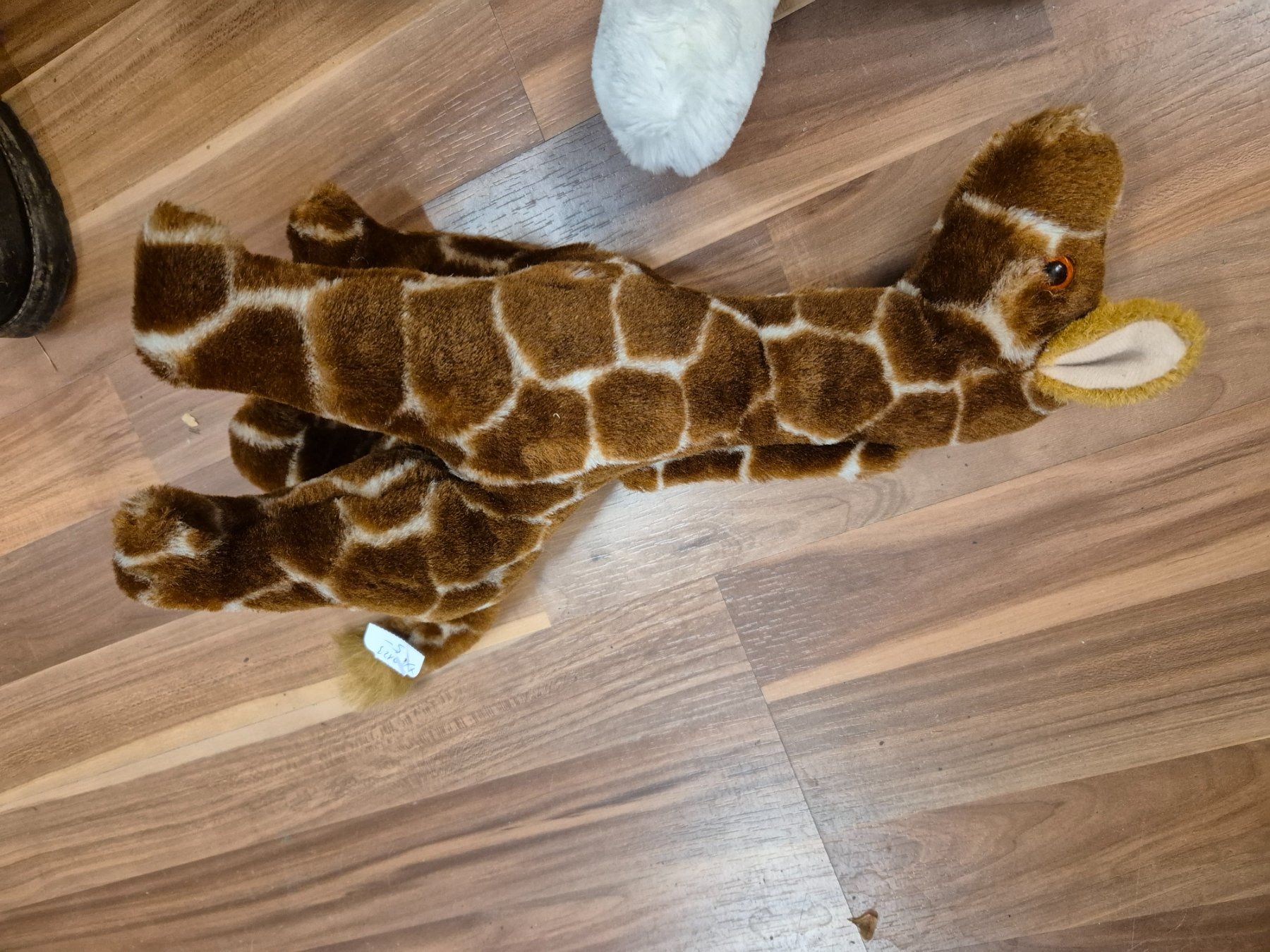 Giocattoli: Plüsch Bär oder Giraffe B29 – Usato da Spiegel b. Bern venduto da Flamingo07 3