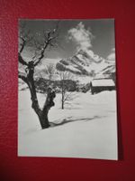 Braunwald Glarus Blick zum Ortstock s/w Karte
