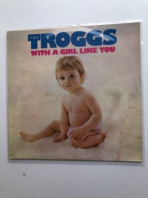 Dischi in vinile: The Troggs – Usato da Aarwangen venduto da Jukebox3