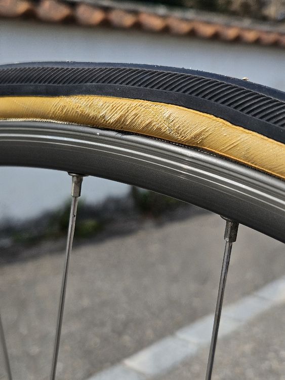 Trek Biciclette: Rennvelo Trek 1400 Aluminium – Usato da Grüningen venduto da 08082015 5