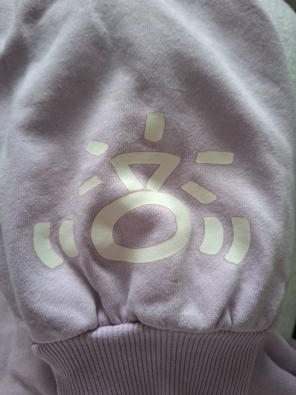 H&M Maglioni & Felpe: Violetter Ariana Grande Pullover von H&M – Usato da Dübendorf venduto da bia_j2zg 3
