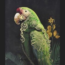 Profile image of green_bird
