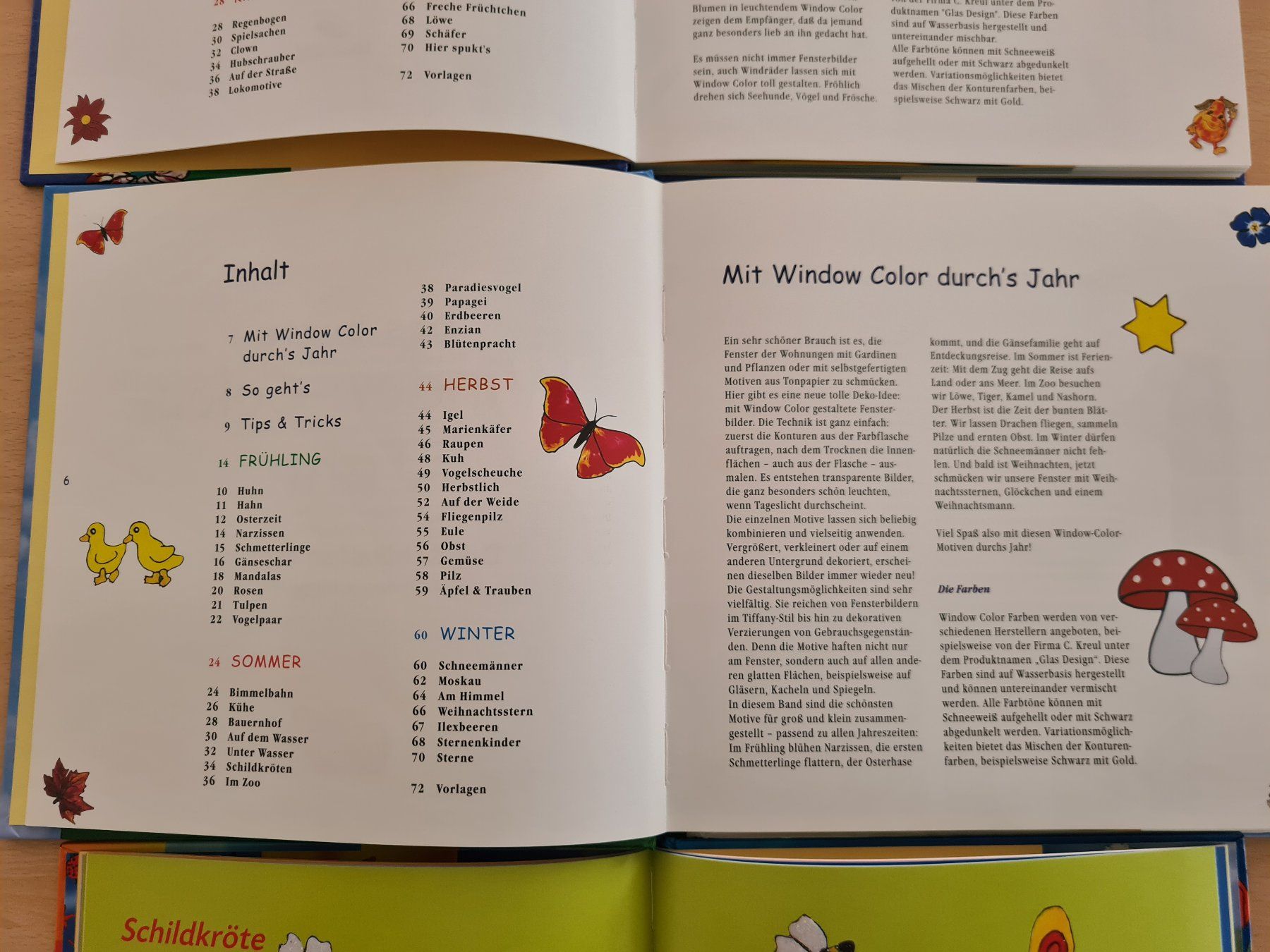 Libri: Window Color: 3 Bücher – Usato da Oberwil-Lieli venduto da Ajade 3