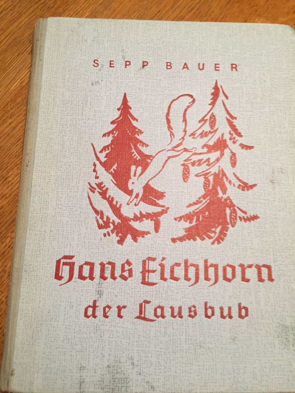 Libri: Hans Eichhorn der Lausbub von Sepp Bauer – Usato da Gerlikon venduto da jabadabadu