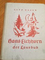 Hans Eichhorn der Lausbub von Sepp Bauer