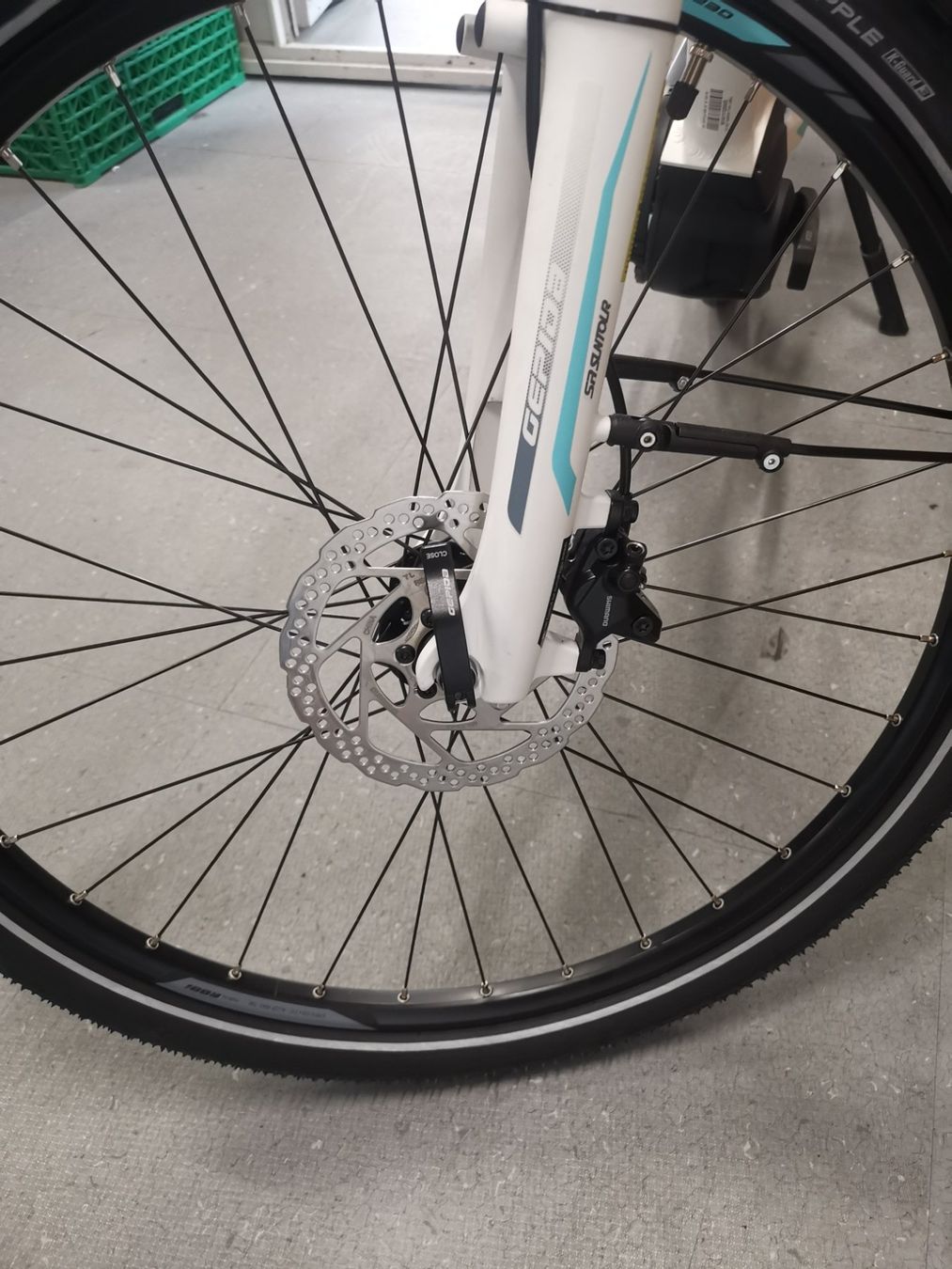 Biciclette: Gepida Reptila Disc 900 – Nuovo e nell'imballaggio originale da Bellinzona venduto da MISTER.BIKE 4