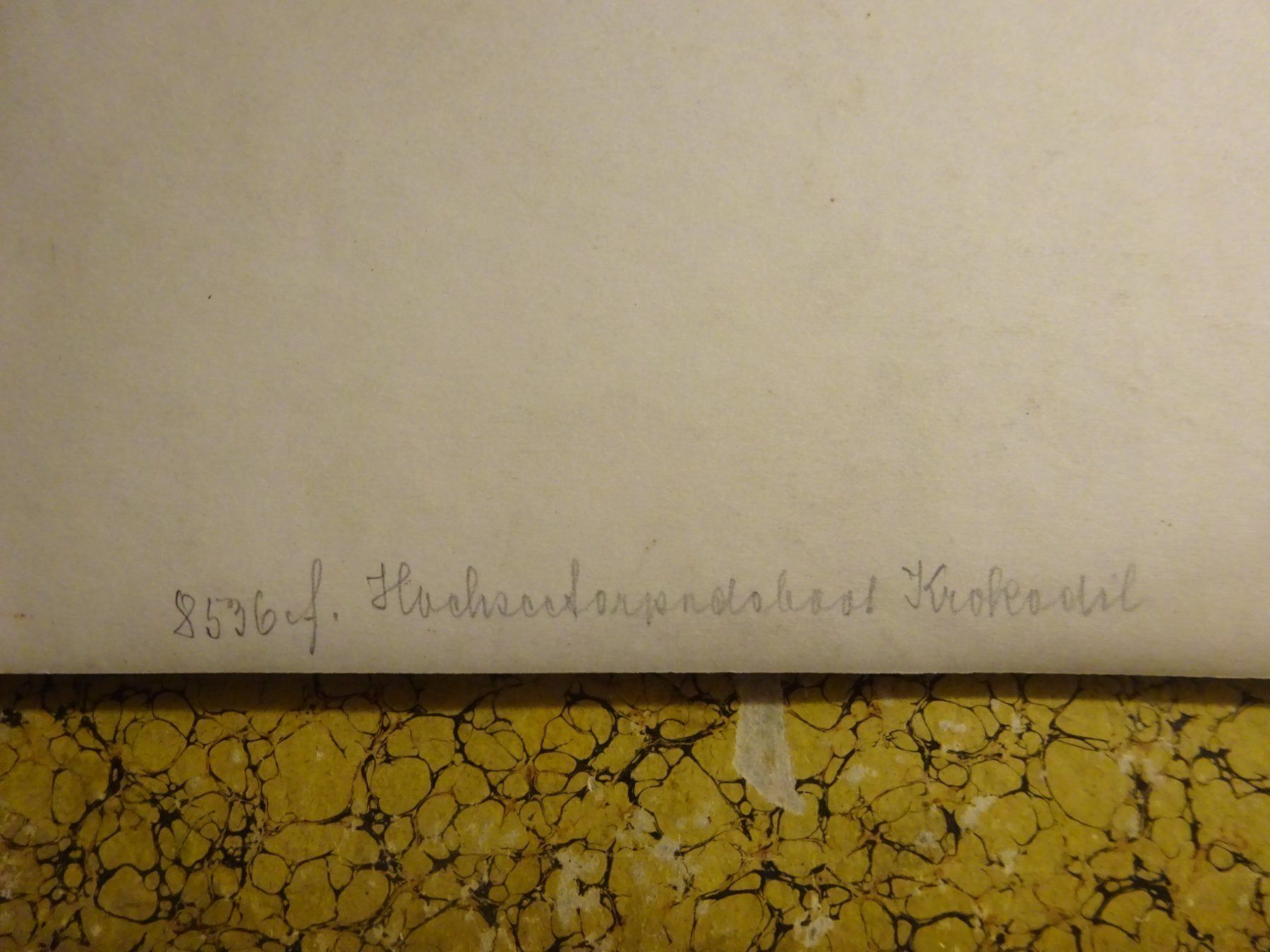 Foto & Immagini: Torpedoboot "KROKODIL" / Original Foto – Usato da Esslingen venduto da eintagammeer 6