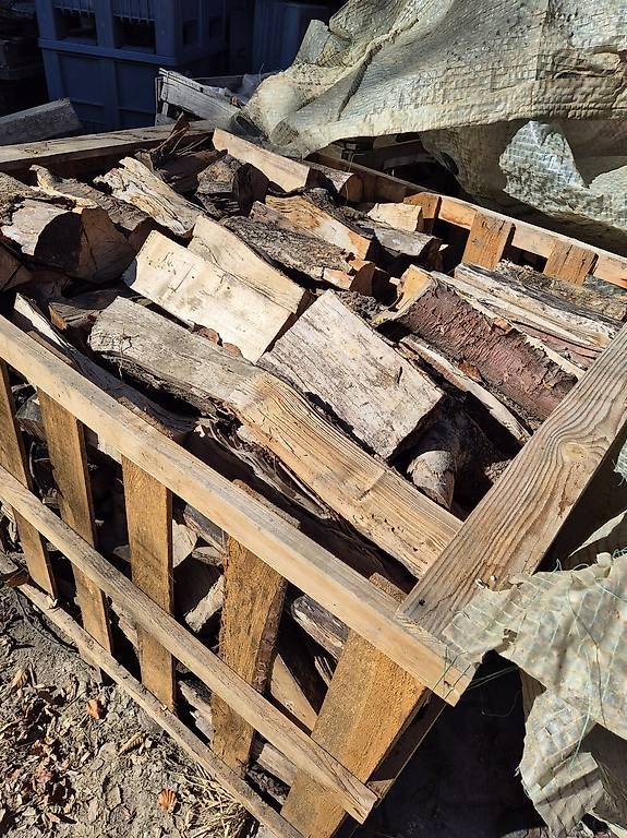 Articoli in legno: Brennholz gemischt  – Nuovo e nell'imballaggio originale da Schlieren venduto da Physik 2