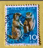 Nr.J 211 GESTEMPELT Alpenmurmeltier 1965  Basel