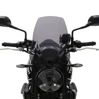 Windabweiser / Scheibe Triumph Trident 660