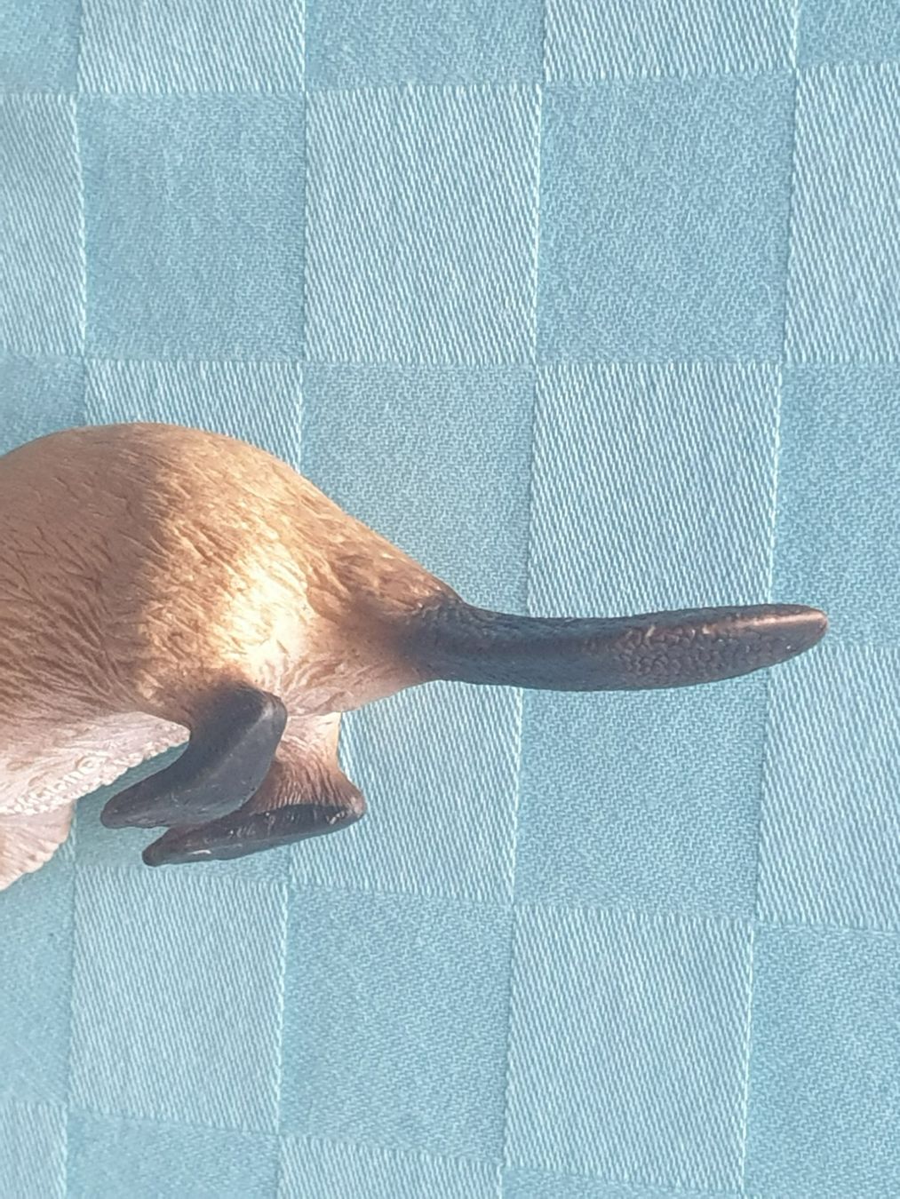Schleich Statuette: Biber Tier Schleich – Usato da Mörschwil venduto da spirspi 5