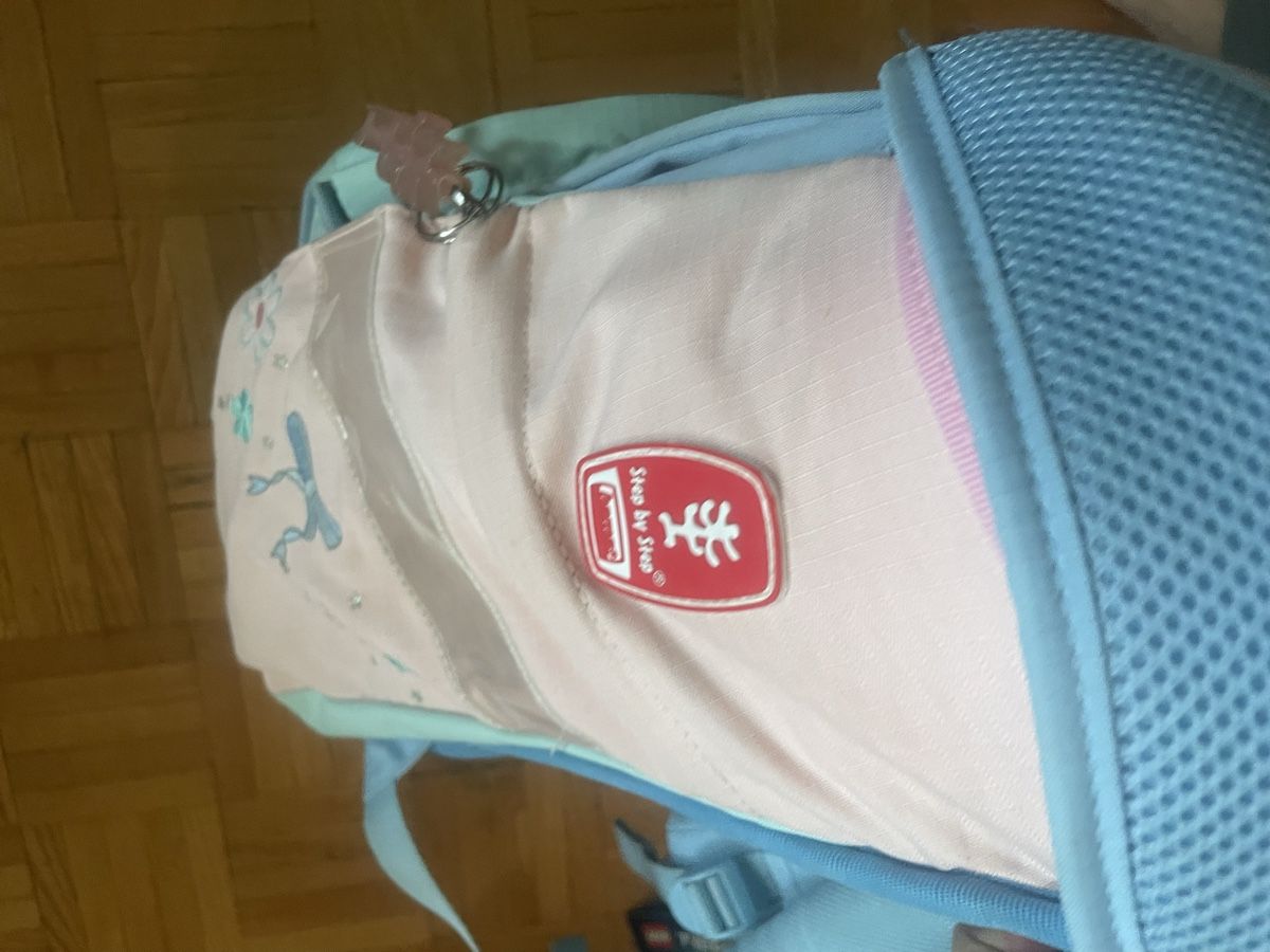 Borse & Zaini: SCHULRÜCKSACK – Usato da Gutenswil venduto da Bregenzer8610 5