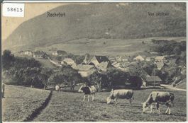 Rochefort - Vue generale - Kühe vaches